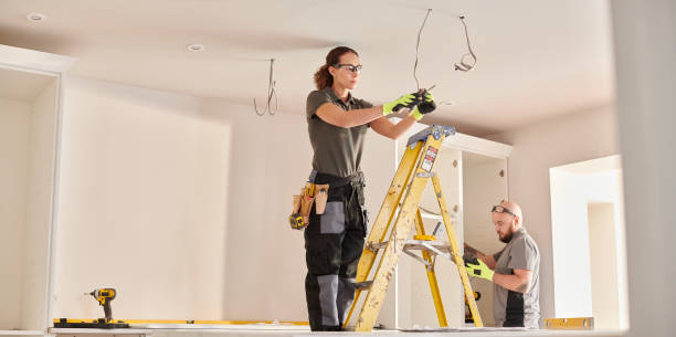 Best Affordable Electrician  in Lake Crystal, MN