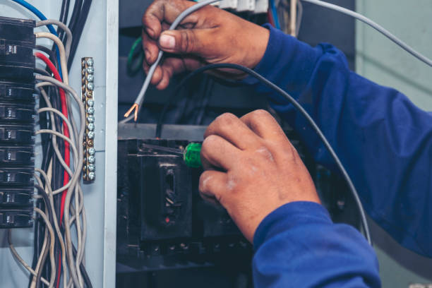 Best Residential Electrician Services  in Lake Crystal, MN
